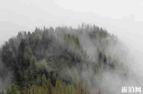 彭州旅游彭州宝山旅游文化节时间+活动介绍