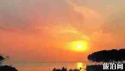 枫泾和朱家角哪个好玩