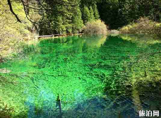 九寨沟牟尼沟三日游 牟尼沟必去景点推荐
