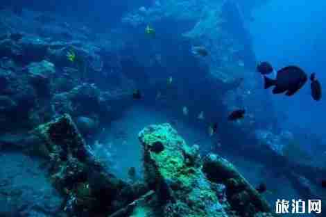 中国附近哪些岛可以潜水 离中国最近的潜水胜地推荐
