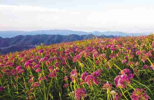 畢節哪里好玩的地方 畢節好玩的地方推薦