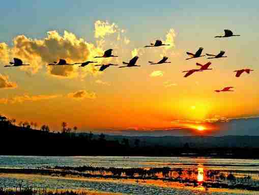 畢節哪里好玩的地方 畢節好玩的地方推薦