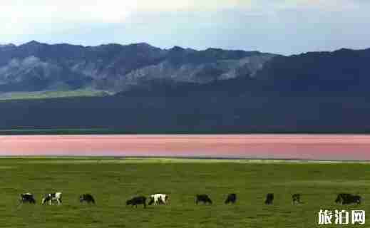 G7高速公路沿途風景