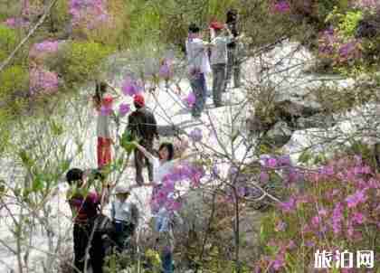 野三坡旅游攻略2018