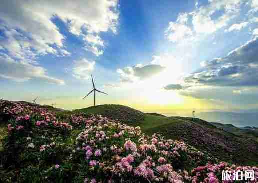 貴州有什么名山