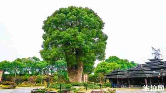 韓湘水博園在上海什么地方 韓湘水博園門票價格+景點