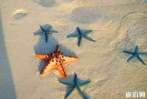 仙本那好玩嗎 仙本那比三亞好在哪里 仙本那好玩嗎 仙本那比三亞好在哪里