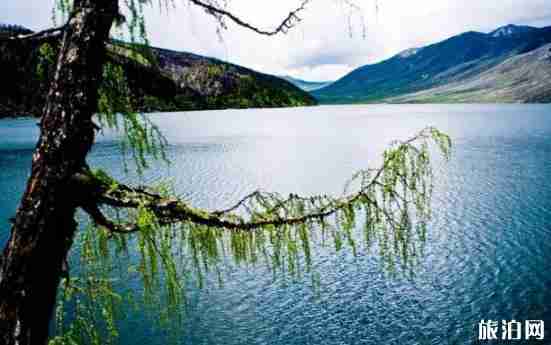 2018瓦屋山开放了吗 四川免费景点最新消息 2018瓦屋山开放了吗 四川免费景点最新消息