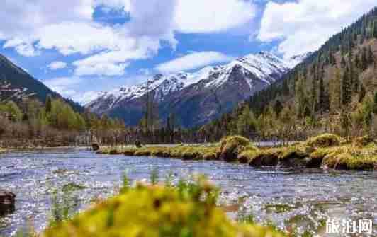 2018瓦屋山开放了吗 四川免费景点最新消息 2018瓦屋山开放了吗 四川免费景点最新消息