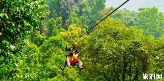 清迈和清莱哪个好玩
