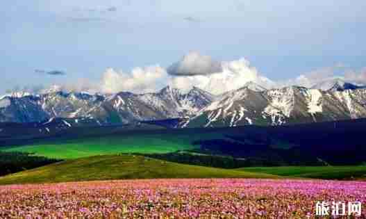 中国最良心景区排行榜 中国最良心景区排行榜