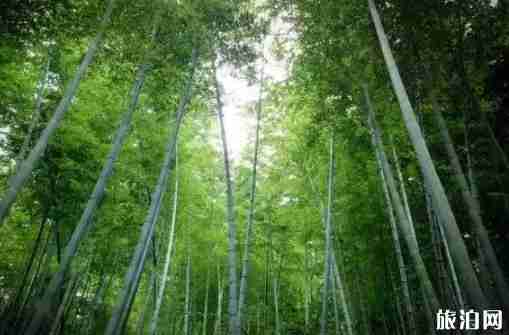 南京八月熱嗎 南京八月旅游去哪里