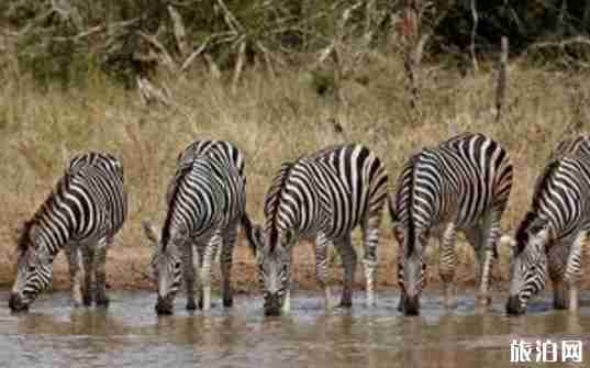 世界國(guó)家公園排名前十