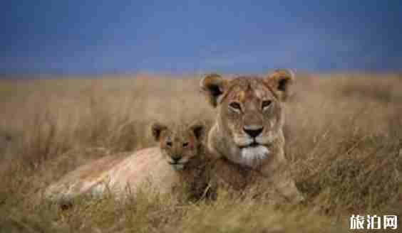 世界國(guó)家公園排名前十