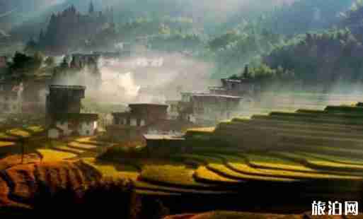 最美梯田在哪 最美梯田圖片 最美梯田介紹 最美梯田在哪 最美梯田圖片 最美梯田介紹