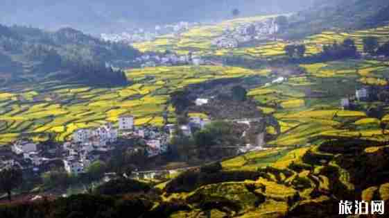 最美梯田在哪 最美梯田圖片 最美梯田介紹 最美梯田在哪 最美梯田圖片 最美梯田介紹