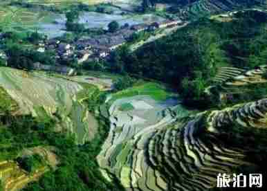 最美梯田在哪 最美梯田圖片 最美梯田介紹 最美梯田在哪 最美梯田圖片 最美梯田介紹