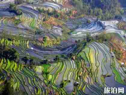 最美梯田在哪 最美梯田圖片 最美梯田介紹 最美梯田在哪 最美梯田圖片 最美梯田介紹