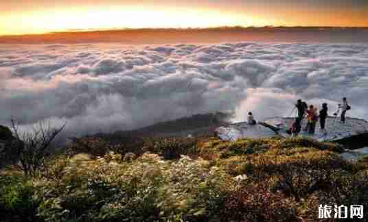 長沙去貴州自駕游九天攻略 長沙去貴州自駕游九天攻略