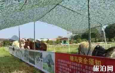 南宁一日游景点大全 南宁一日游最佳景点 南宁一日游景点大全 南宁一日游最佳景点