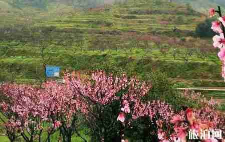 福建三明旅游推荐 福建三明旅游推荐