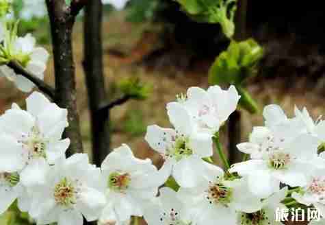 福建三明旅游推荐 福建三明旅游推荐