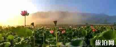 福建三明旅游推荐 福建三明旅游推荐