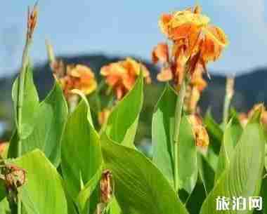 福建三明旅游推荐 福建三明旅游推荐