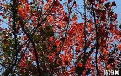莆田一日游可以去哪里 莆田一日游攻略 莆田一日游可以去哪里 莆田一日游攻略