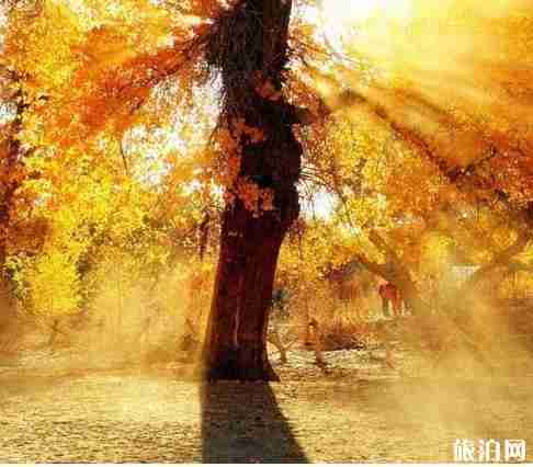 南疆有什么好玩的 南疆游玩 南疆有什么好玩的 南疆游玩