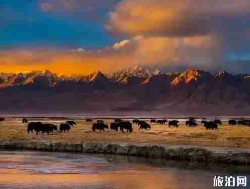 南疆有什么好玩的 南疆游玩 南疆有什么好玩的 南疆游玩