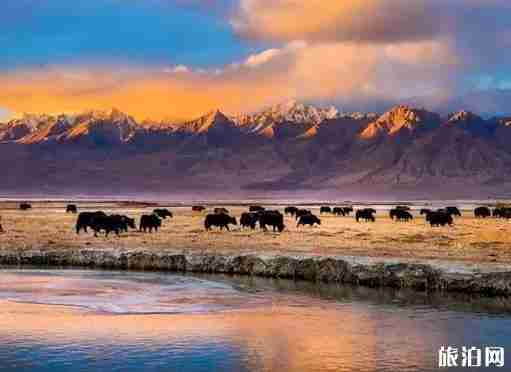 南疆有什么好玩的 南疆游玩 南疆有什么好玩的 南疆游玩