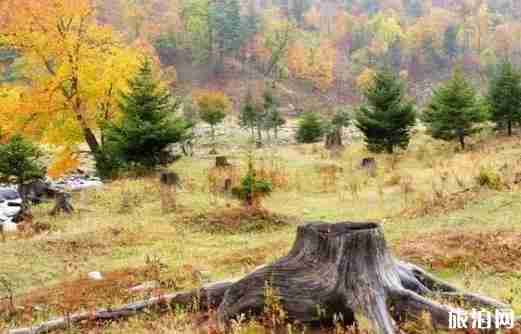 伊春游玩攻略 时间+交通指南+线路 伊春游玩攻略 时间+交通指南+线路