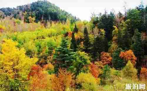 伊春游玩攻略 时间+交通指南+线路 伊春游玩攻略 时间+交通指南+线路