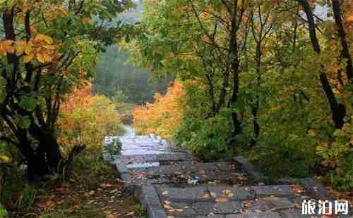 双鸭山怎么样 双鸭山游记 双鸭山怎么样 双鸭山游记