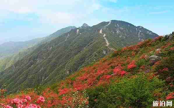 湖北避暑胜地有哪些 湖北避暑胜地有哪些