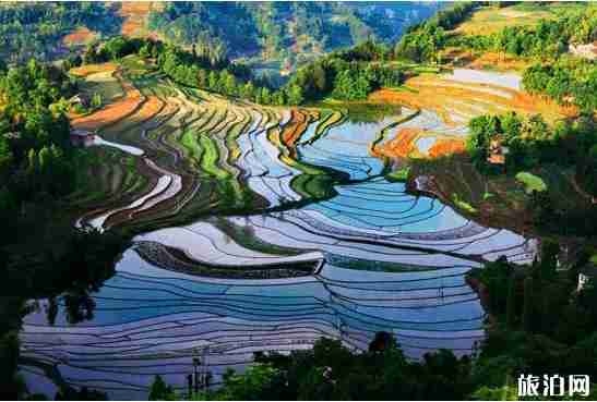 湖北避暑胜地有哪些 湖北避暑胜地有哪些