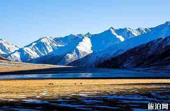 进藏住宿攻略 注意事项+住宿