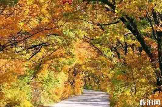 环湖公路有哪些 最美的环湖公路是哪一个 环湖公路有哪些 最美的环湖公路是哪一个