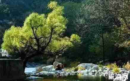 河南古村落 避暑的小村庄 河南古村落 避暑的小村庄