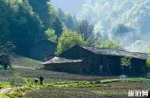四川巴东峡谷游玩 地址+游玩线路 四川巴东峡谷游玩 地址+游玩线路