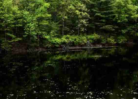 瓦尔登湖小说里的夜 瓦尔登湖小说里的夜
