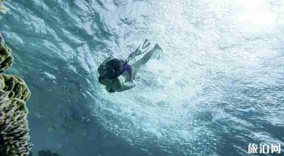 马尔代夫浮潜岛屿排名 马尔代夫浮潜岛屿排名