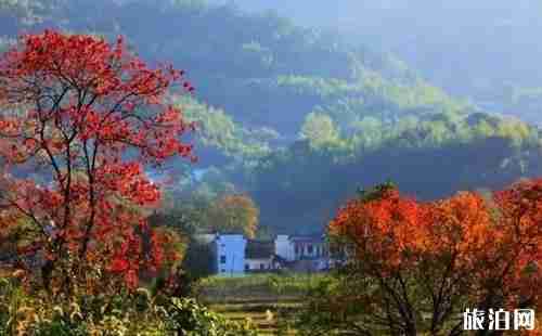 九月皖南旅游景点推荐 皖南秋天风景图片 九月皖南旅游景点推荐 皖南秋天风景图片