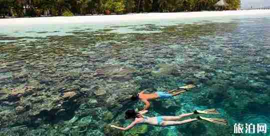 马尔代夫浮潜岛屿排名 马尔代夫浮潜岛屿排名