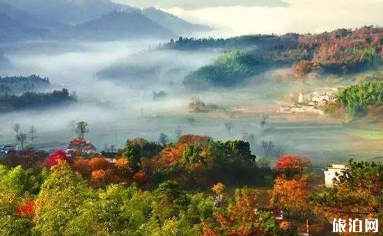 九月皖南旅游景点推荐 皖南秋天风景图片 九月皖南旅游景点推荐 皖南秋天风景图片