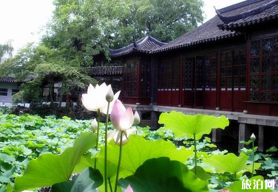 上海周边二日游旅游景点推荐 上海周边二日游旅游景点推荐