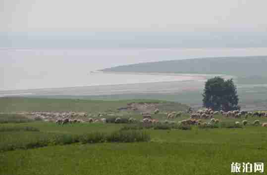 克旗和烏蘭布統行程安排 克旗和烏蘭布統行程安排