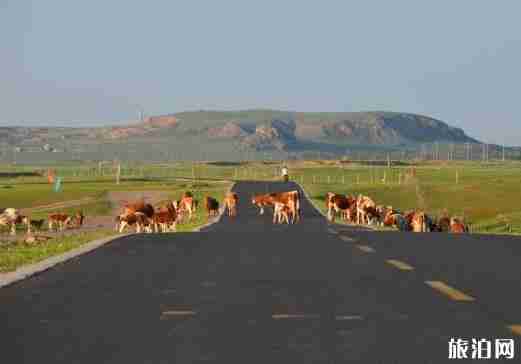克旗和烏蘭布統行程安排 克旗和烏蘭布統行程安排