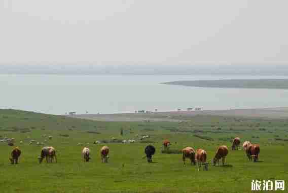 克旗和烏蘭布統行程安排 克旗和烏蘭布統行程安排